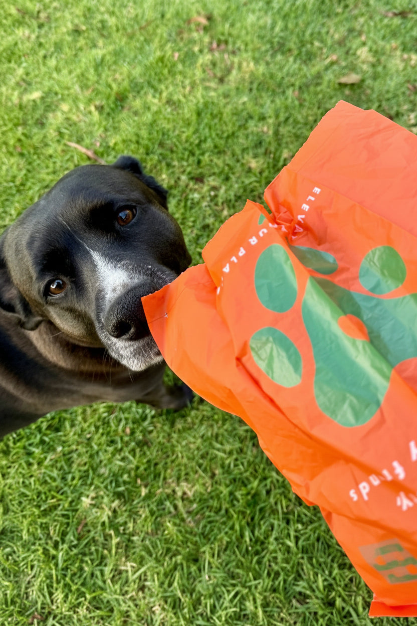 G.K.P. Biodegradable Pet Poopy Bags